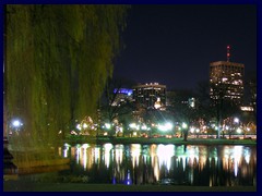 Public Garden night